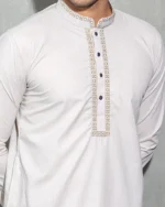 Elegant Mercury Panjabi - Image 2